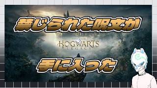 【#ホグワーツレガシー】魔法学校にカチコミだ!!Hogwarts Legacy初見プレイ!!【生声】