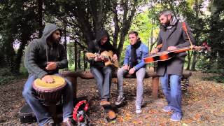 Hermitage Green - Golden Rule