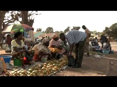 Caju, a fruta de Bissau