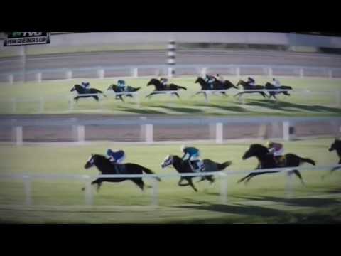 PENNSYLVAINA GOVERNORS CUP S, G STAKES $200,000 RICHARDS BOY !!!