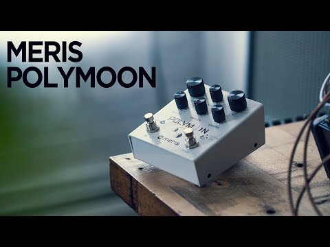 Meris Polymoon 2010s - White +original box image 9