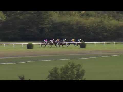 4. dostih - EJC CENA SPOLEČNOSTI VESIBA - Videozáznam Evropského poháru žokejů 2018