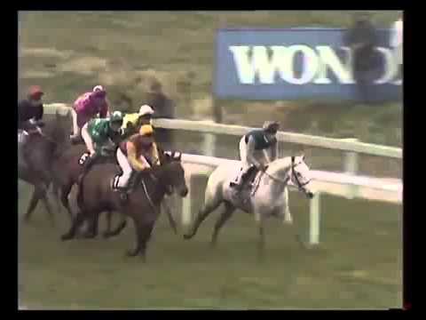Desert Orchid 1989 Gold Cup   FULL RACE CLIP
