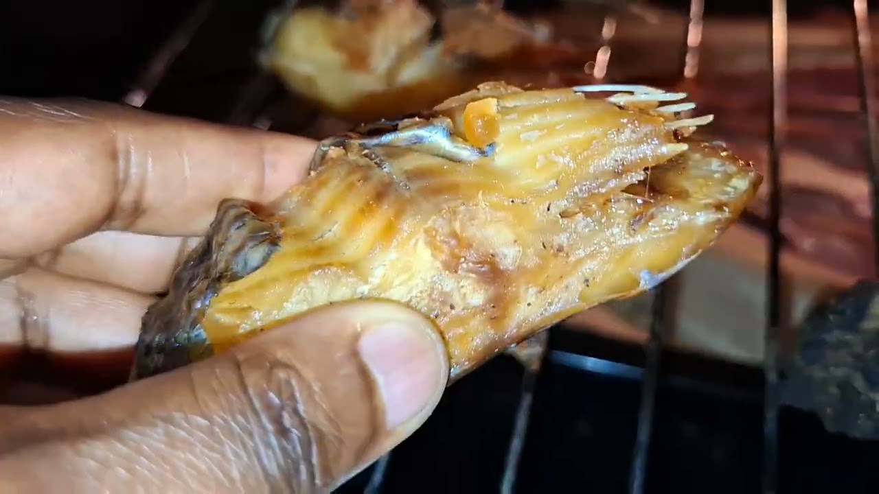 LET'S DRY FISH AND MEAT IN THE OVEN | SECHONS LA VIANDE ET LE POISSON AU FOUR