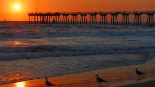 Feel the Heat kingKobra