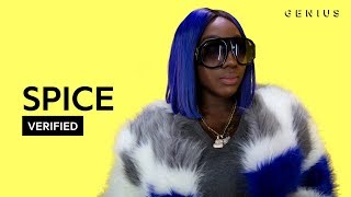 Spice "Black Hypocrisy" Official Lyrics &amp; Meaning | Verified