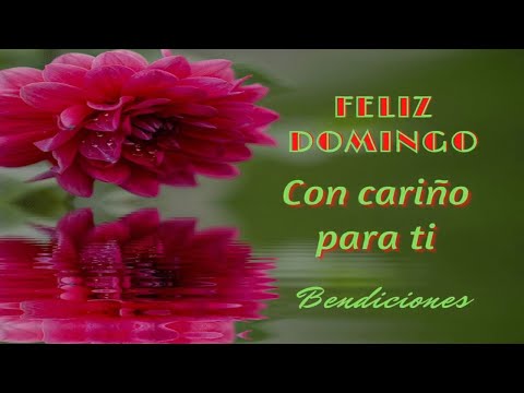 BUENOS DÍAS. Saludos. Que tengas un FELIZ DOMINGO