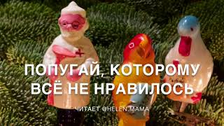 Е Ракитина Приключения Новогодних Игрушек Е Ракитина Приключения Новогодних Игрушек