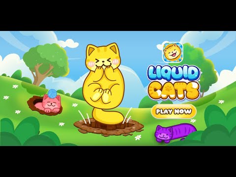 Liquid Cat Puzzle