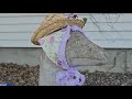 Seamstress S Kind Gesture For Neighbor S Goose Goes Viral