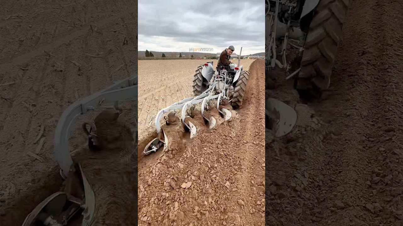 Grey Fergie Tractor with 4 Furrow Plough