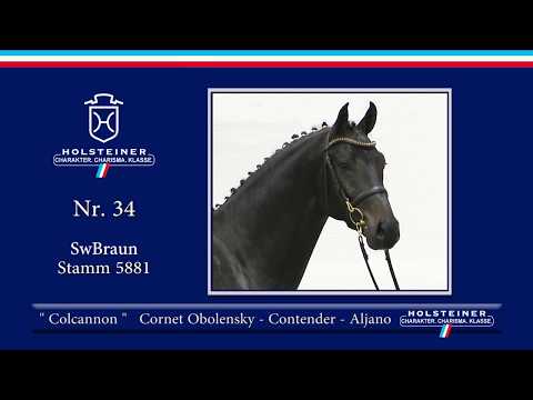 Holsteiner Körlot 2018 | Nr. 34 - COLCANNON v. Cornet Obolensky - Contender