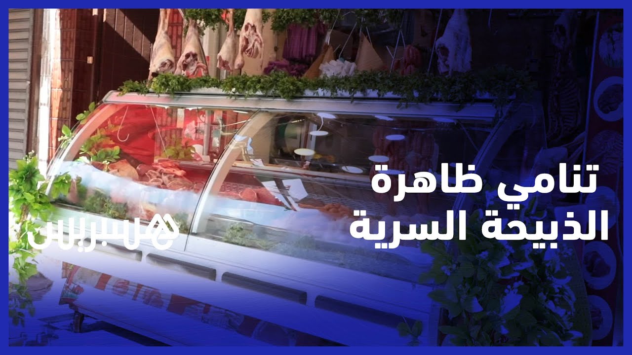 مهنيو "اللحوم الحمراء" يشتكون تنامي ظاهرة الذبيحة السرية ويرجعون السبب للغلاء thumbnail