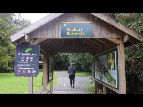 Caminhada pela natureza em Raukuri