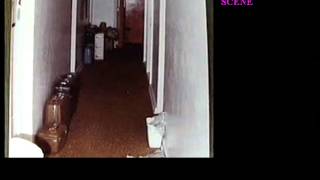 TED BUNDY ISSAQUAH CRIME SCENE, CHI OMEGA INTERIORS, RARE COURT PHOTO, HIGH SCHOOL