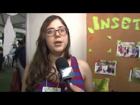 BOLETIM TJ UFSC - SEPEX 2016 -  Os insetos e a nossa alimentação