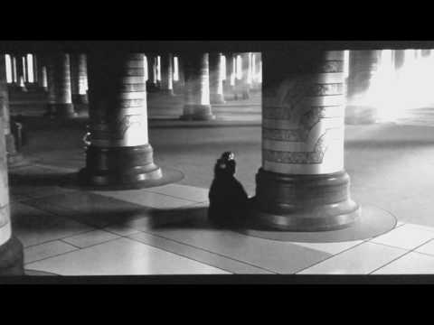 Vader Remembers Padmé