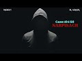 Case 104 S2 Narpisach