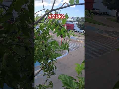 Rio verde #rioverdegoias #rioverde