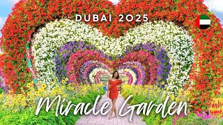 Dubai Miracle Garden • 4K Walking Tour of the World’s Largest Flower Display 🌸