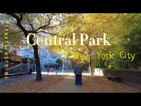 Walk from 110th Street and 5th Avenue at the north end of Central Park to 100th Street.