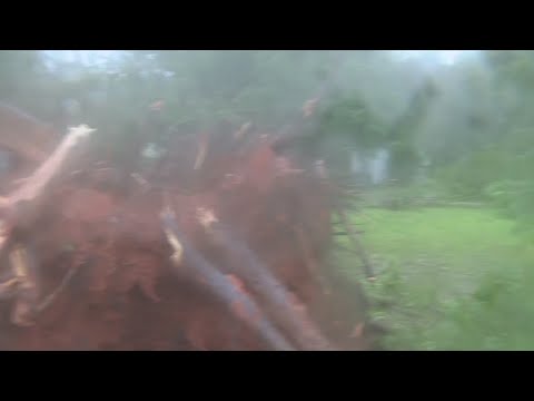 Natchitoches aftermath with damage