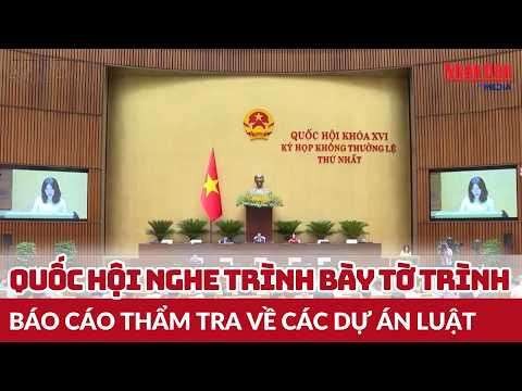  Quốc hội nghe trình bày Tờ trình, báo cáo thẩm tra về các dự án luật
