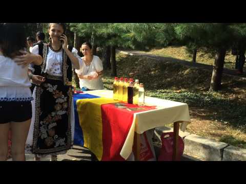 Global Village AIESEC Timisoara & AIESEC Arad