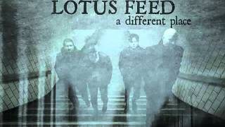 LOTUS FEED - Cut