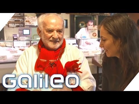 From crab peeler to multi-millionaire: Gosch Sylt - The success story | Galileo | ProSieben