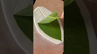 Leaf 🍃 Jewellery plate @iVasuu #artandcraft #diy #minivlog #clayplate #clayart