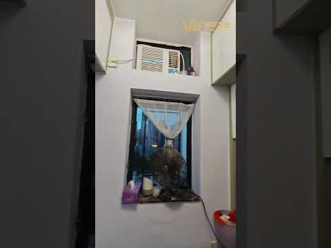 油麻地翻新導賞