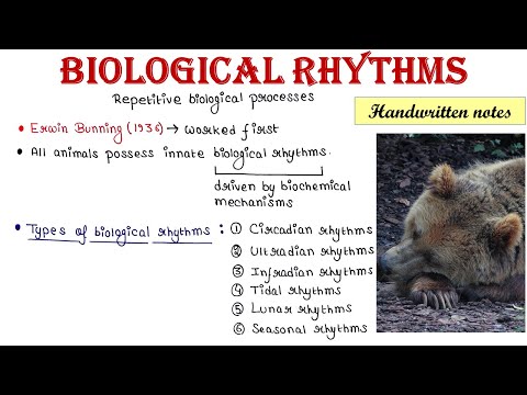 Biological rhythms