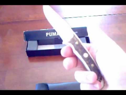 Puma IP Catamount Stag Review