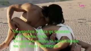 Birds Of Paradise   Peter ,Sue   Marc 1981     Iubirea   Cel mai frumos sentiment !    YouTube