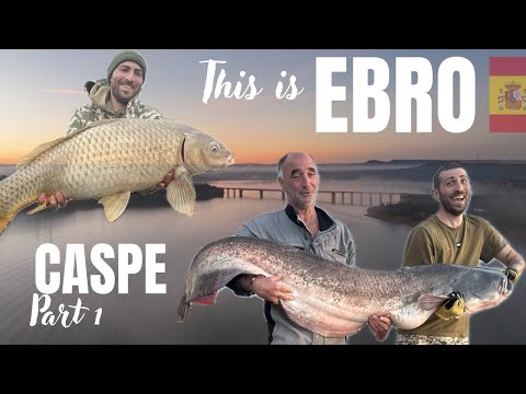 Epic Big Catfish & Carp Fishing on the Ebro River 🎣 | CASPE Winter Session (Part 1)