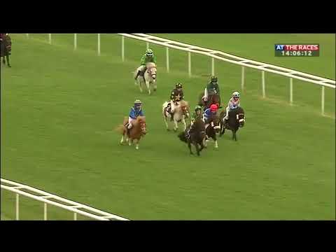 Shetland pony racing - Doncaster thriller!