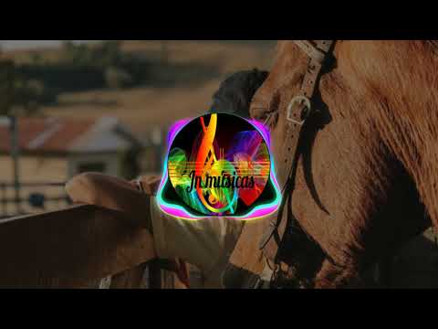 não tô nem aí se tu gelou meu coração !   #musicadotiktok