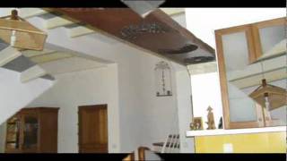 preview picture of video 'India Pondichery Maison Gascon India Hotels India Travel Ecotourism Travel To Care'