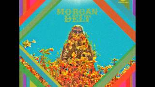 Morgan Delt - Obstacle Eyes