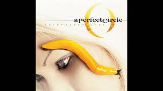 A̲ P̲e̲r̲fect C̲i̲r̲cle - Thirteenth Step (Full Album)
