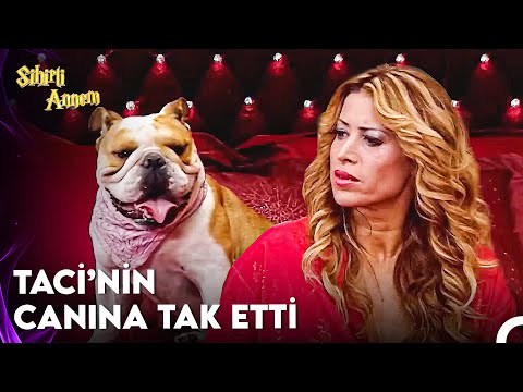 Taci, Dudu'ya Cezayı Boşanarak Kesiyor - Sihirli Annem