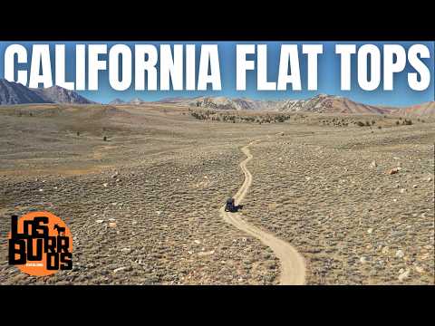 End of Summer in the Eastern Sierra | Solo Overlanding to 10,000 Feet