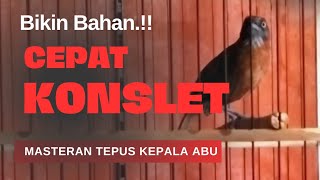 Download lagu ‼️PANCINGAN TOP BUAT BIKIN TEPUS KEPALA ABU CEPAT GACOR KONSLET  mp3 Download lagu ‼️PANCINGAN TOP BUAT BIKIN TEPUS KEPALA ABU CEPAT GACOR KONSLET  mp3