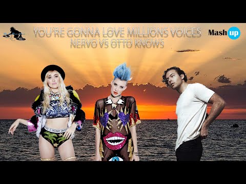 Nervo VS Otto Knows - You're gonna love millions voices - Paolo Monti (THE IBIZA MASHUP 2023)