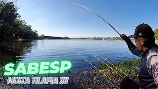 NA MASSA CERTA VOCÊ PEGA MUITO PEIXE BOM !!!