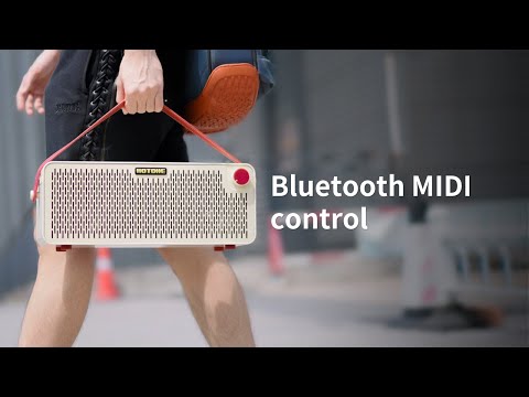 Zuhal Youtube Videos