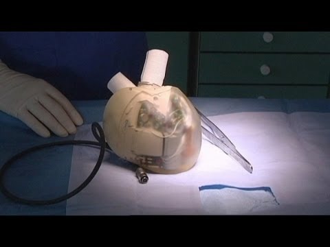 euronews science - Artificial heart close to human trials