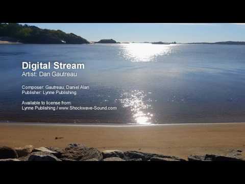 Digital Stream - Dan Gautreau (Lynne Publishing)
