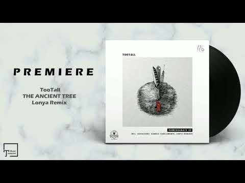 PREMIERE: TooTall - The Ancient Tree (Lonya Remix) [KITCHEN RECORDINGS]